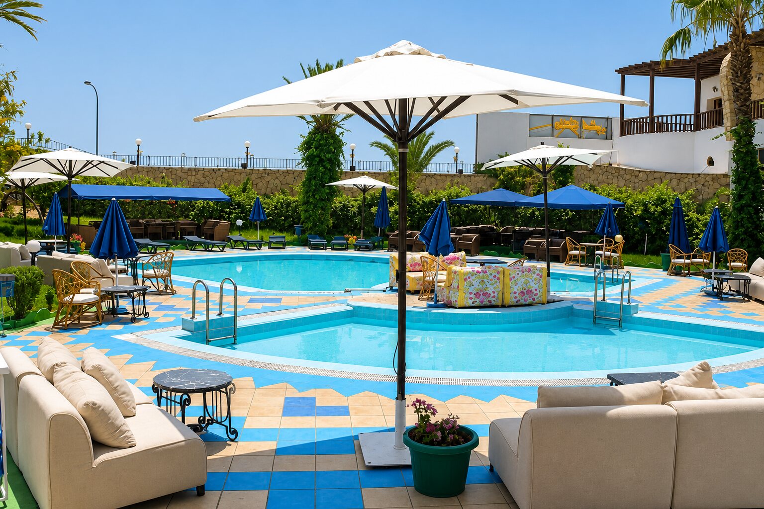 Terrasse & bassin